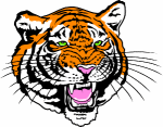 TIGERHEAD1